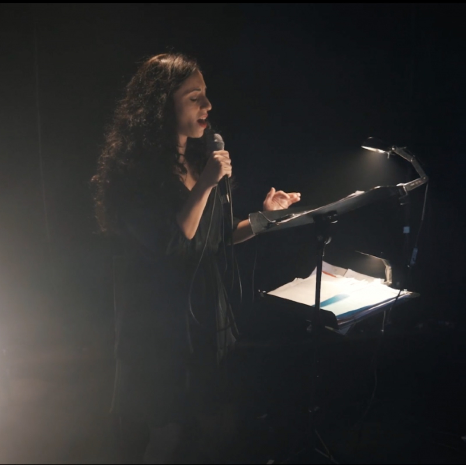 A singer at a music stand on a dark stage during LULELA
